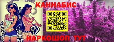 трава Гатчина