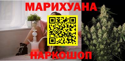 трава Гатчина