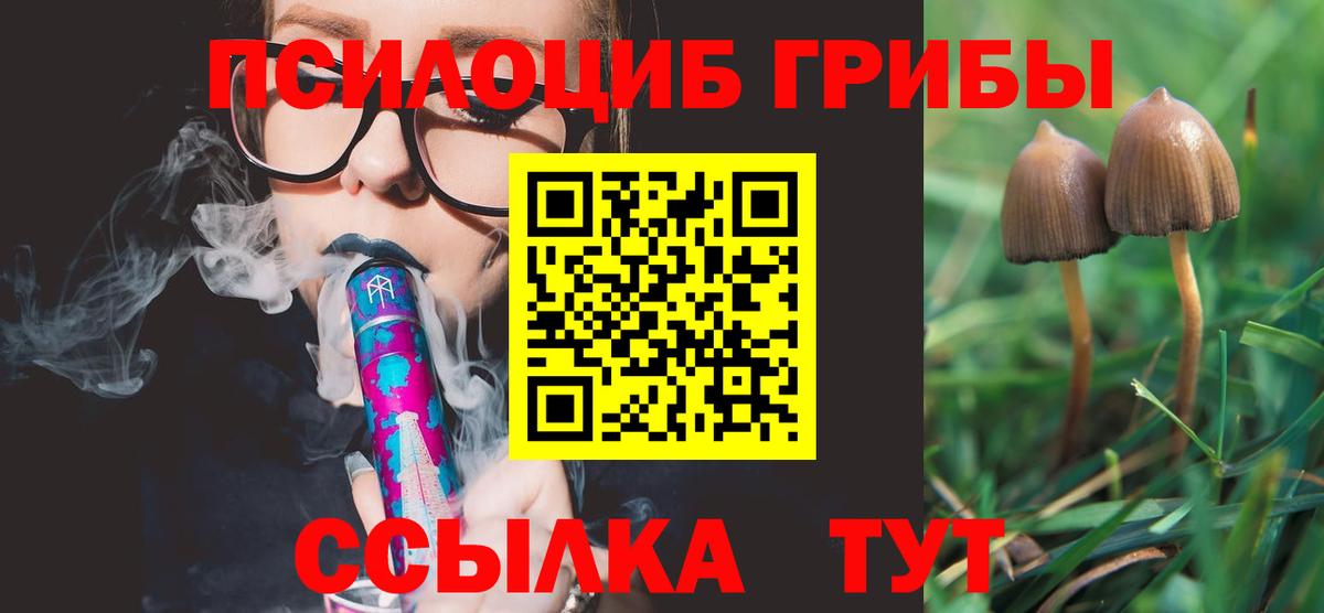 Орск  Псилоцибиновые грибы Psilocybe  Вход с VPN 